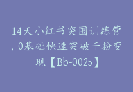 14天小红书突围训练营，0基础快速突破千粉变现【Bb-0025】-副业圈