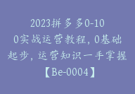 2023拼多多0-100实战运营教程，0基础起步，运营知识一手掌握【Be-0004】-副业圈