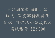 2023淘宝数据化运营14式，深度解析数据化知识，帮你从小白成长为高级运营【Bf-0001】-副业圈