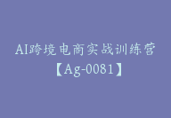 AI跨境电商实战训练营【Ag-0081】-副业圈