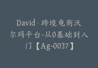 David·跨境电商沃尔玛平台-从0基础到入门【Ag-0037】-副业圈