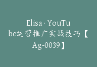 Elisa·YouTube运营推广实战技巧【Ag-0039】-副业圈