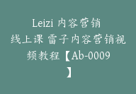 Leizi 内容营销 线上课 雷子内容营销视频教程【Ab-0009】-副业圈