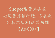 Shopee运营必备基础运营店铺打造，多层次的教你从0-1运营店铺【Ae-0007】-副业圈