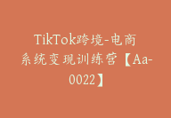 TikTok跨境-电商系统变现训练营【Aa-0022】-副业圈