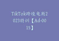 TikTok跨境电商2023特训【Ad-0015】-副业圈