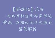 沧海·淘系万相台无界实战运营课，万相台无界实操全案例解析【Bf-0016】-副业圈