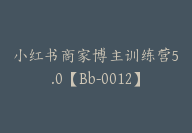 小红书商家博主训练营5.0【Bb-0012】-副业圈