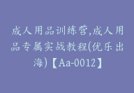 成人用品训练营,成人用品专属实战教程(优乐出海)【Aa-0012】-副业圈