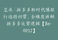 玺承·拼多多新时代爆款打造特训营，全维度讲解拼多多运营逻辑【Be-0012】-副业圈