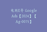 电商E哥 Google Ads【2024】【Ag-0075】-副业圈