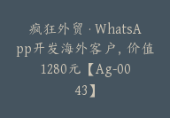 疯狂外贸·WhatsApp开发海外客户，价值1280元【Ag-0043】-副业圈