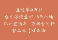 直通车&万相台引爆流量班，6天打通你开直通车·万相台的任督二脉【Bf-0006】-副业圈