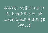 秋秋线上流量密训班19.0，打通流量关卡，线上也能实战流量破局【Bf-0011】-副业圈