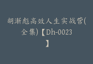 胡渐彪高效人生实战营(全集)【Dh-0023】-副业圈