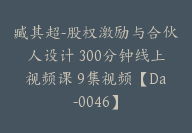 臧其超-股权激励与合伙人设计 300分钟线上视频课 9集视频【Da-0046】-副业圈