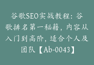 谷歌SEO实战教程：谷歌排名第一秘籍，内容从入门到高阶，适合个人及团队【Ab-0043】-副业圈