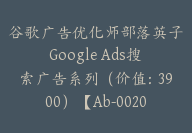 谷歌广告优化师部落英子Google Ads搜索广告系列（价值：3900）【Ab-0020】-副业圈