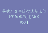 谷歌广告高阶打法与优化(优乐出海)【Ab-0050】-副业圈