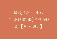 跨境B哥-tiktok广告投放课(价值6980)【Ad-0005】-副业圈