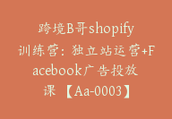 跨境B哥shopify训练营：独立站运营+Facebook广告投放课 【Aa-0003】-副业圈