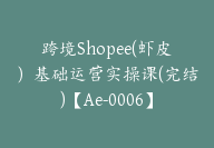 跨境Shopee(虾皮）基础运营实操课(完结)【Ae-0006】-副业圈