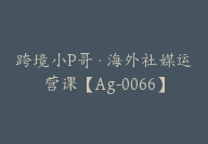 跨境小P哥·海外社媒运营课【Ag-0066】-副业圈