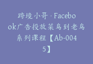 跨境小哥·Facebook广告投放菜鸟到老鸟系列课程【Ab-0045】-副业圈