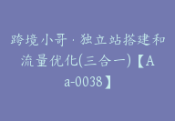 跨境小哥·独立站搭建和流量优化(三合一)【Aa-0038】-副业圈