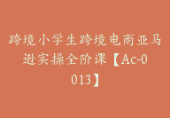 跨境小学生跨境电商亚马逊实操全阶课【Ac-0013】-副业圈