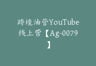 跨境油管YouTube线上营【Ag-0079】-副业圈