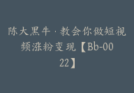 陈大黑牛·教会你做短视频涨粉变现【Bb-0022】-副业圈