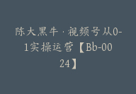 陈大黑牛·视频号从0-1实操运营【Bb-0024】-副业圈