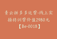 青云拼多多运营-线上实操特训营价值2980元【Be-0018】-副业圈