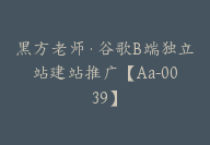 黑方老师·谷歌B端独立站建站推广【Aa-0039】-副业圈