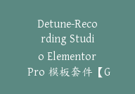 Detune-Recording Studio Elementor Pro 模板套件【G-0043】-副业圈