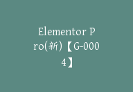 Elementor Pro(新)【G-0004】-副业圈