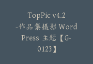 TopPic v4.2-作品集摄影 WordPress 主题【G-0123】-副业圈