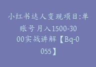 小红书达人变现项目:单账号月入1500-3000实战讲解【Bq-0055】-副业圈