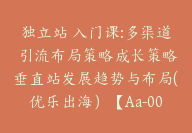 独立站 入门课:多渠道 引流布局策略成长策略垂直站发展趋势与布局(优乐出海）【Aa-0045】-副业圈