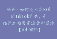 稳哥·如何投出高ROl的TikTok广告，开拓独立站卖家流量新蓝海【Ad-0029】-副业圈