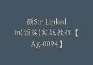 颜Sir Linkedin(领英)实战教程【Ag-0094】-副业圈