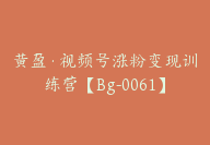 黄盈·视频号涨粉变现训练营【Bg-0061】-副业圈