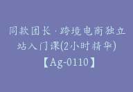 同款团长·跨境电商独立站入门课(2小时精华)【Ag-0110】-副业圈