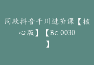 同款抖音千川进阶课【核心版】【Bc-0030】-副业圈