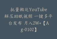 批量搬运YouTube解压助眠视频 一键多平台发布 月入2W+【Ag-0102】-副业圈