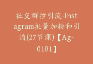 社交群控引流-Instagram批量加粉和引流(27节课)【Ag-0101】-副业圈