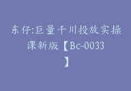 东仔:巨量千川投放实操课新版【Bc-0033】-副业圈